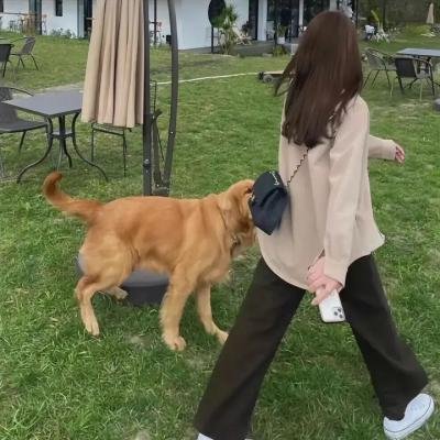 以泥为妆